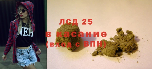 шишки Верея
