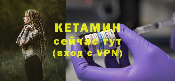 шишки Верея