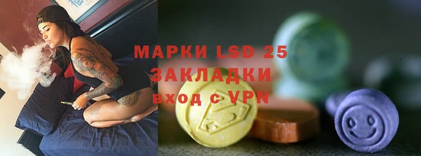 шишки Верея