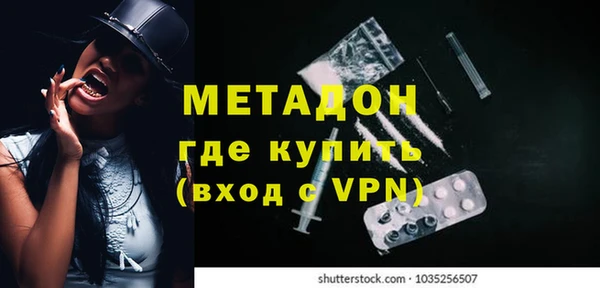 шишки Верея
