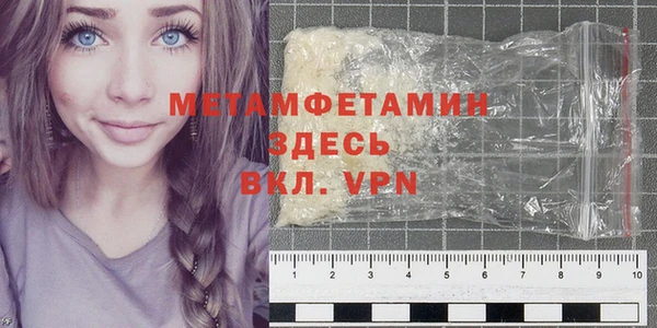 шишки Верея
